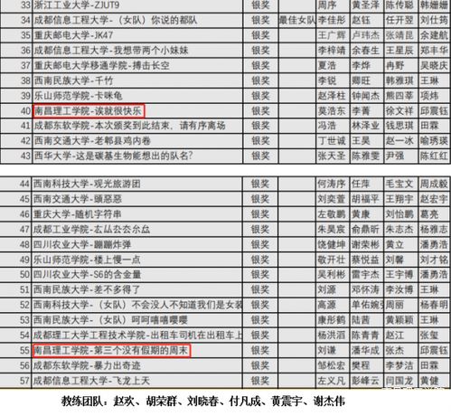 南昌理工學(xué)院在四川省計算機(jī)程序設(shè)計競賽中榮獲銀獎