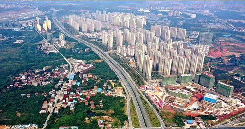 新品入市 下半年南昌有21項目即將入市 南昌縣 望月湖或迎爆發(fā)